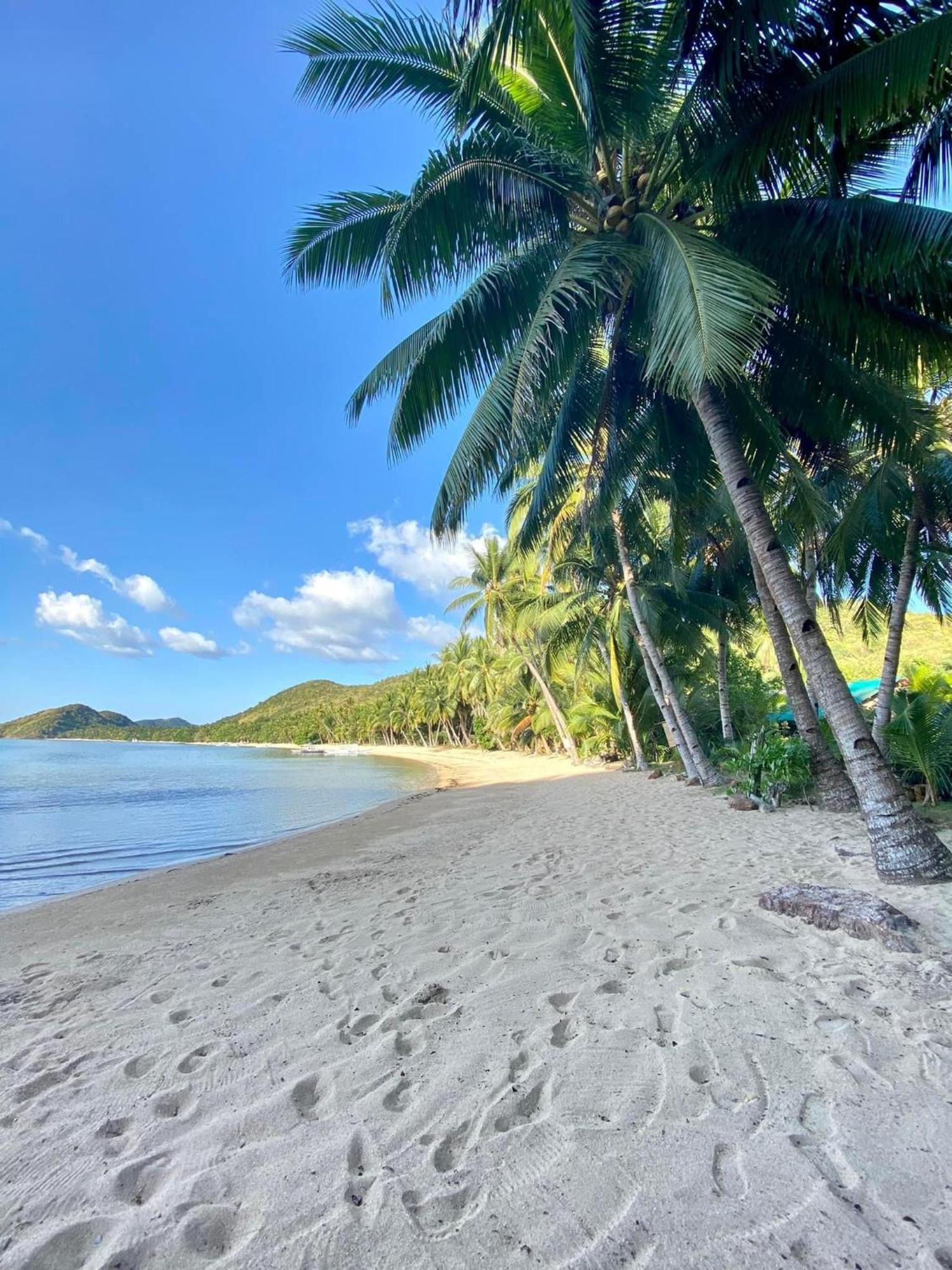 Ocamocam Beach Nature Resort New Busuanga Ngoại thất bức ảnh