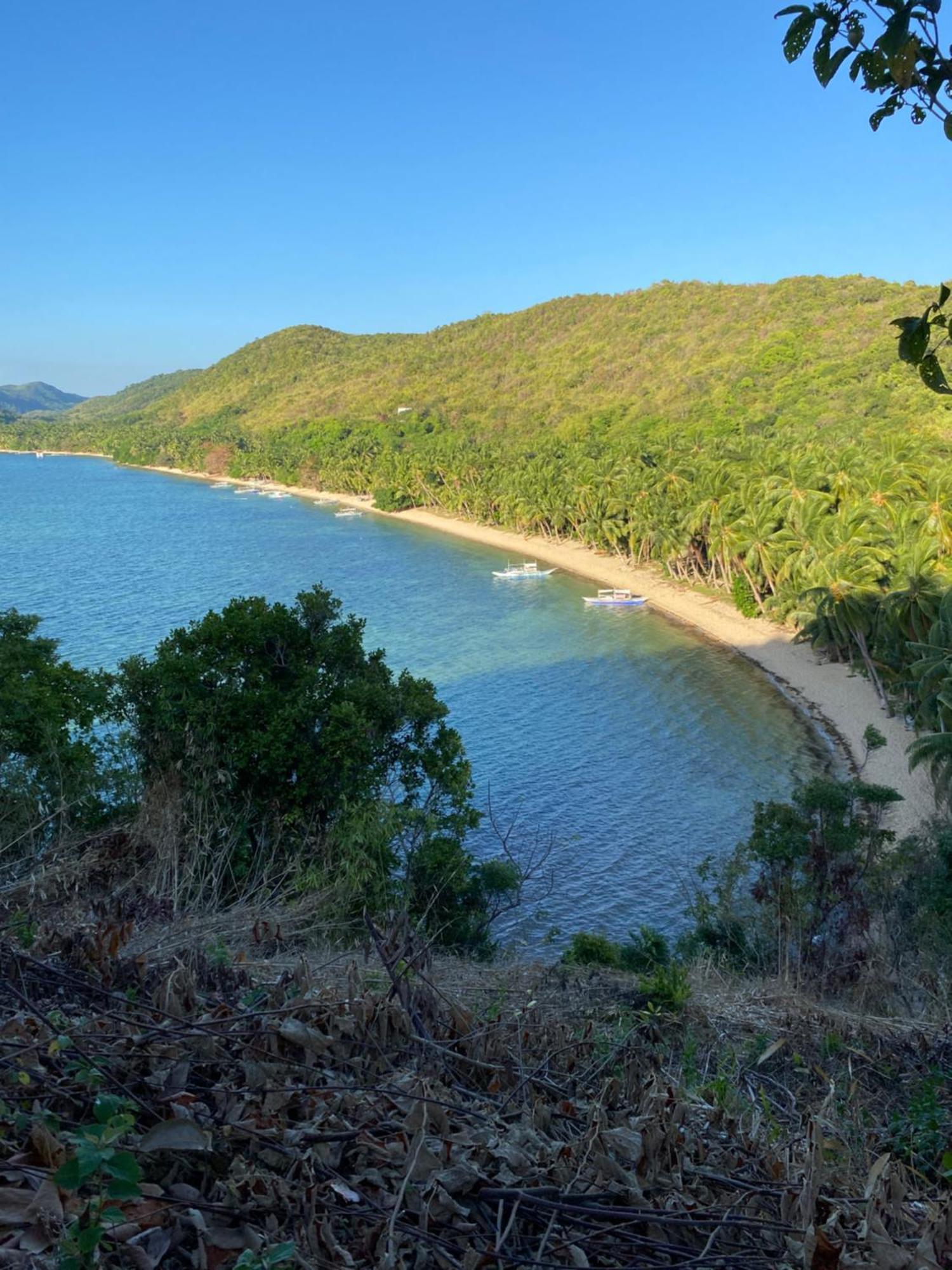 Ocamocam Beach Nature Resort New Busuanga Ngoại thất bức ảnh