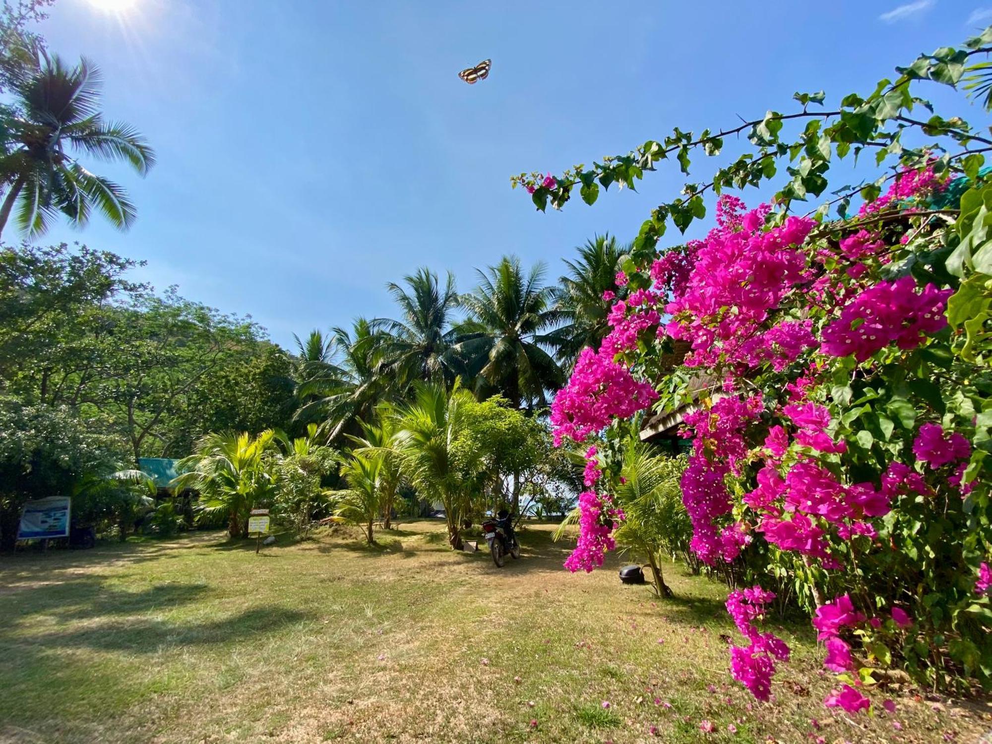 Ocamocam Beach Nature Resort New Busuanga Ngoại thất bức ảnh