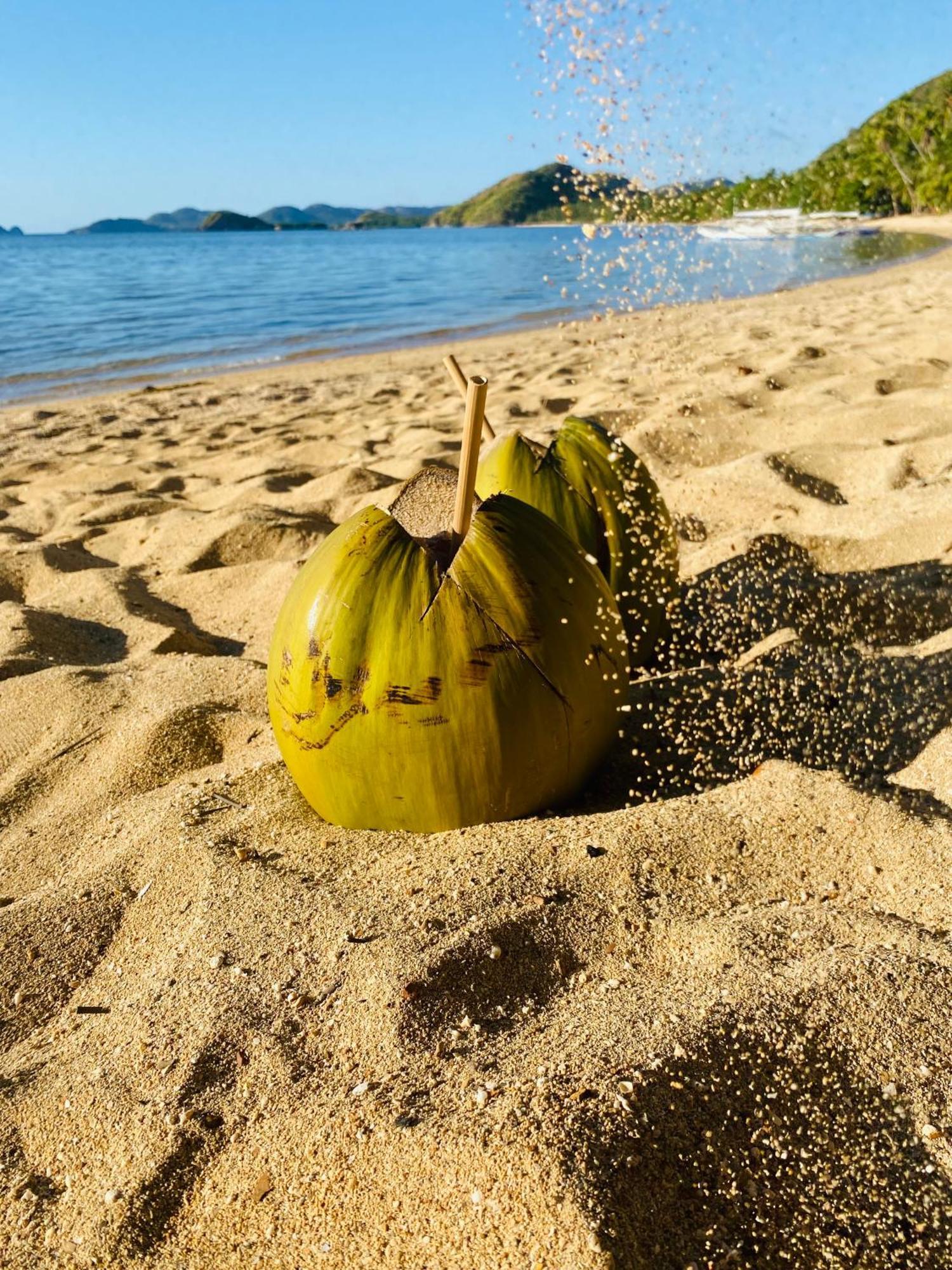 Ocamocam Beach Nature Resort New Busuanga Ngoại thất bức ảnh