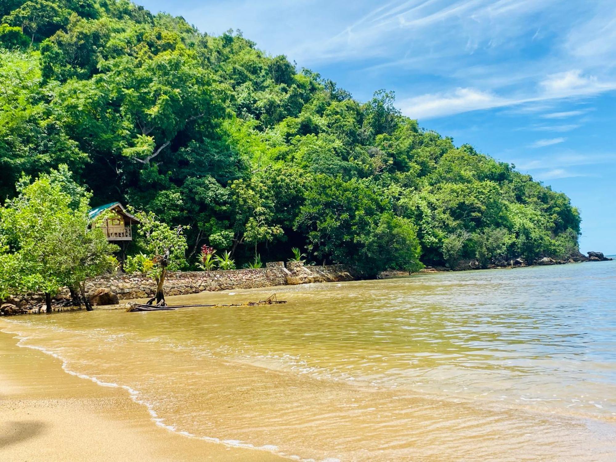 Ocamocam Beach Nature Resort New Busuanga Ngoại thất bức ảnh
